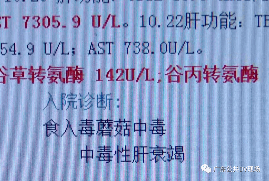 中医夫妻必看，5个核心预测一读就懂